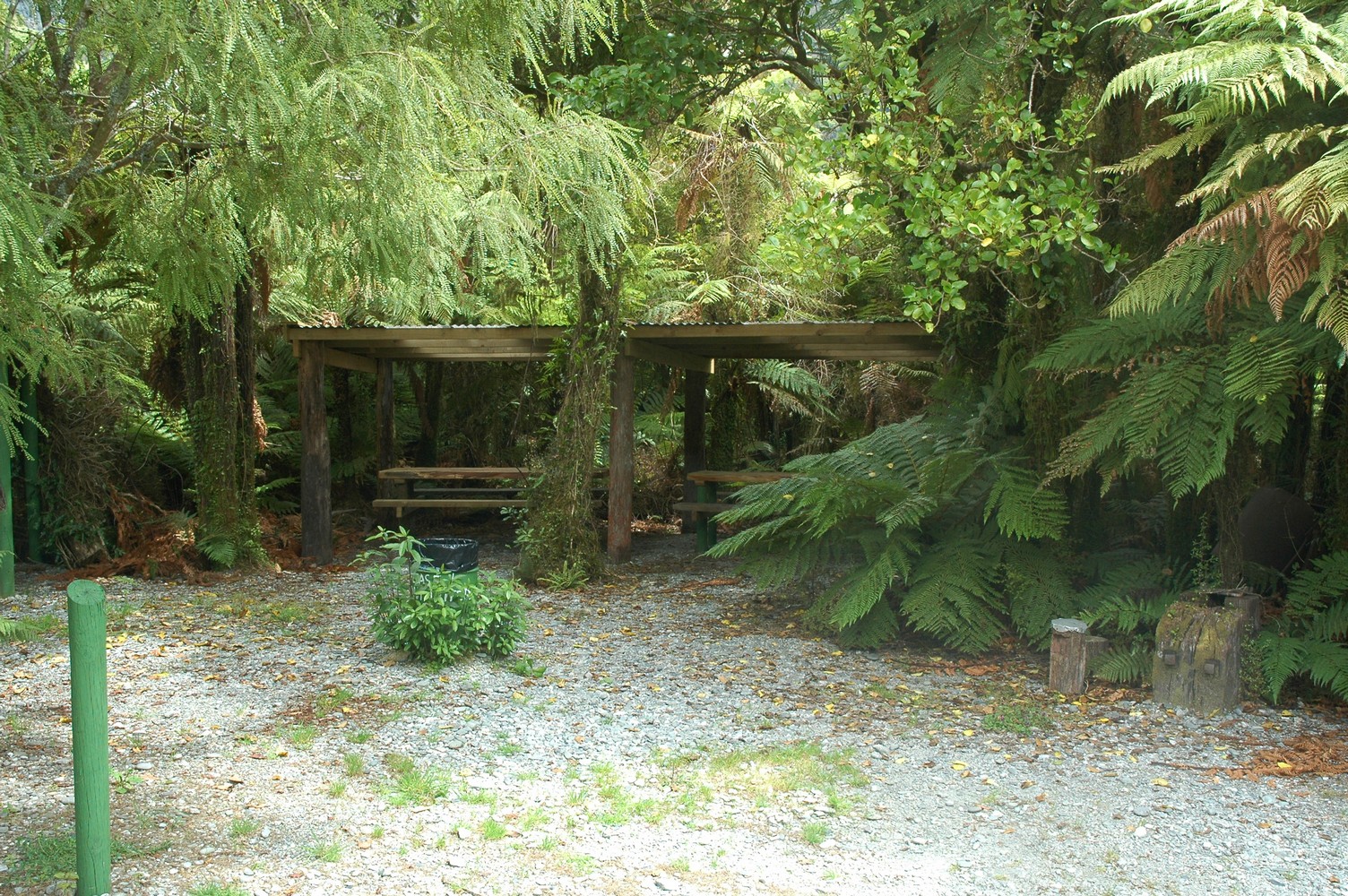 087   24 01   Greymouth   Fox Glacier